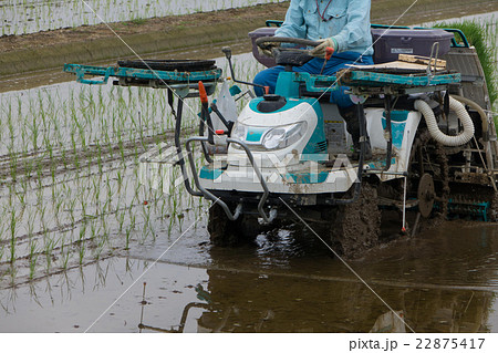 田植え 22875417