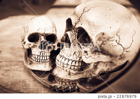 still life and vintage of skull human  22876979