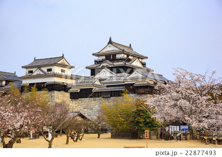 春の松山城 愛媛県松山市 春の松山城 愛媛県松山市 22877493