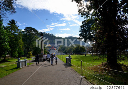 スリランカの聖地キャンディの参拝者が絶えない仏歯寺 スリランカの聖地キャンディの参拝者が絶えない仏歯寺 22877641