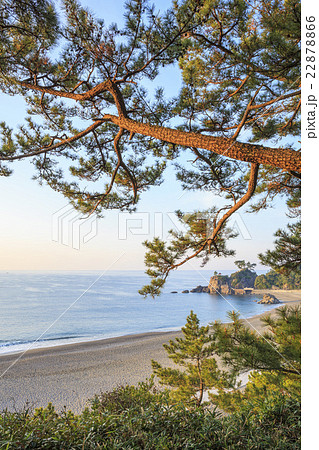朝の桂浜　高知県　高知市　浦戸 22878866