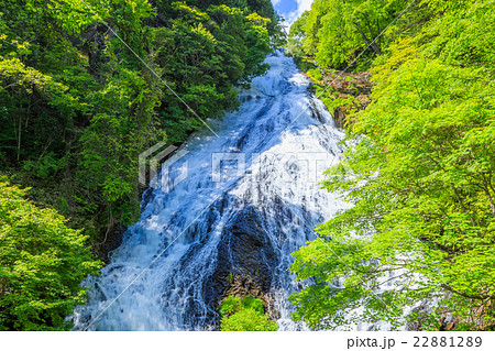 日光 新緑の湯滝 日光 新緑の湯滝 22881289