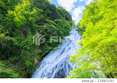 日光　新緑の湯滝 22881291