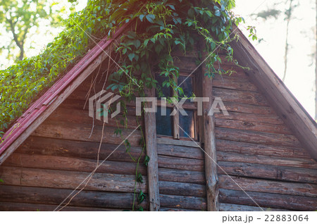 old wooden house with window and plant on the roof 22883064