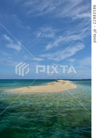 初夏のバラス島 22883586