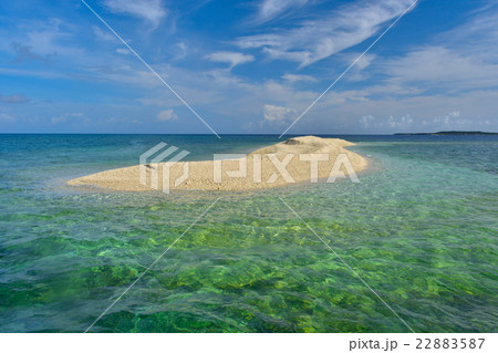 バラス島 22883587