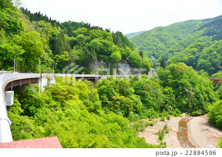 新緑の主要道６６号 22884596