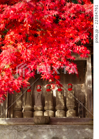 地蔵とモミジ 22884761