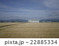 滋賀の麦畑 滋賀の麦畑 22885334