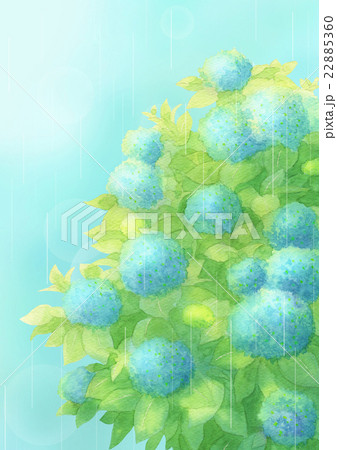 あじさい雨タテ(ブルー) あじさい雨タテ(ブルー) 22885360