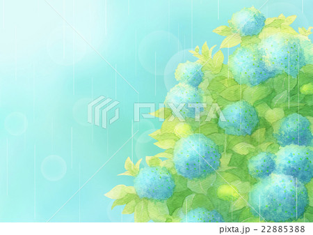 あじさい雨ヨコ（ブルー） 22885388