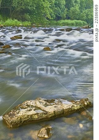 Rivers and trees Rivers and trees 22886969