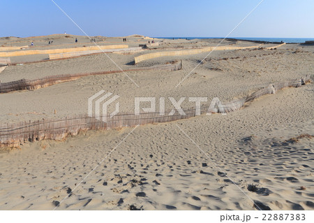 中田島砂丘 22887383