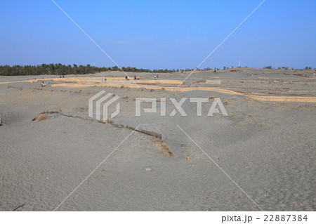 中田島砂丘 22887384