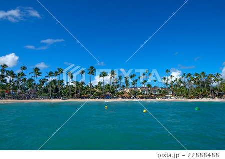 Tropical coastline with palms Tropical coastline with palms 22888488
