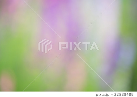 Green, purple and pink blurs Green, purple and pink blurs 22888489