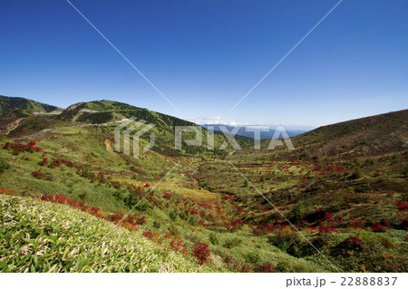 山田峠の秋 山田峠の秋 22888837