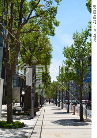 新国立美術館 新国立美術館 22888869