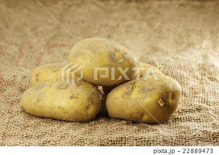 Close up of Potatoes 22889473