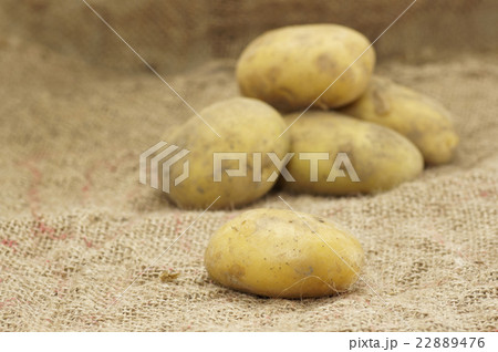Close up of Potatoes 22889476
