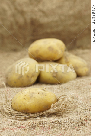Close up of Potatoes Close up of Potatoes 22889477