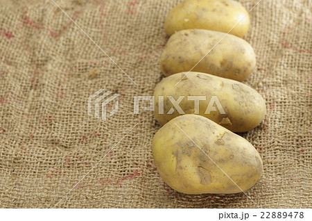 Close up of Potatoes Close up of Potatoes 22889478
