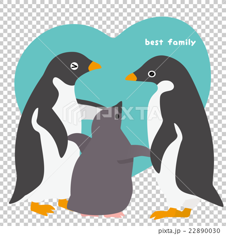アデリーペンギン 家族 22890030