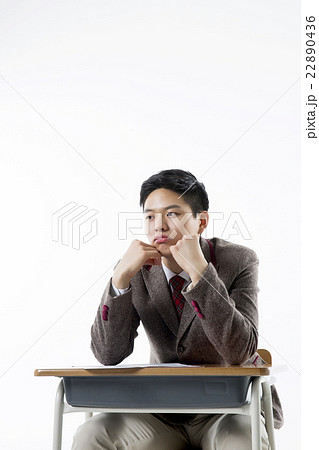 Asian Highschool Students 22890436