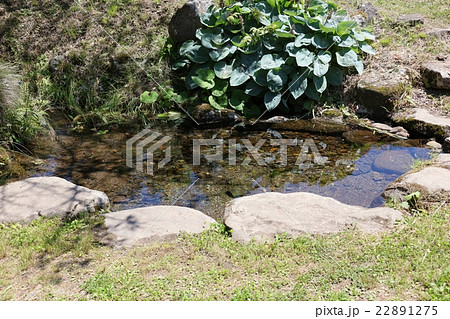 名水百選 名水百選 22891275