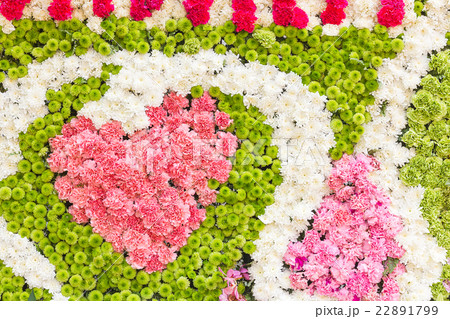 Multi-coloured of flower Multi-coloured of flower 22891799