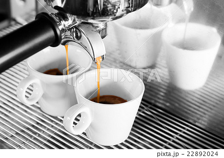 Prepares espresso in coffee shop black and white 22892024