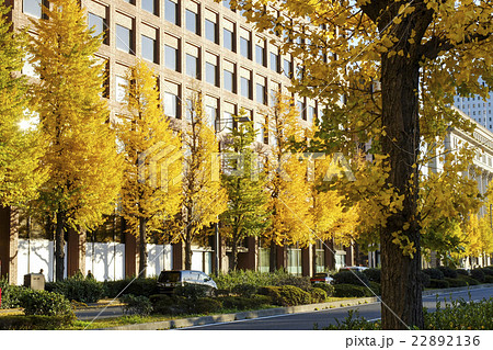 黄金色の大都会 22892136