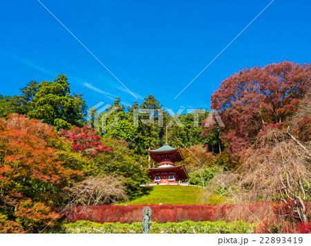 勝尾寺の多宝塔 22893419
