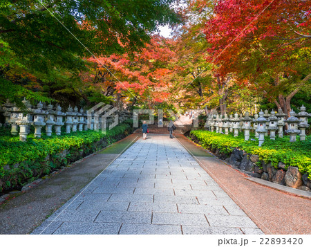 勝尾寺の参道と紅葉 勝尾寺の参道と紅葉 22893420
