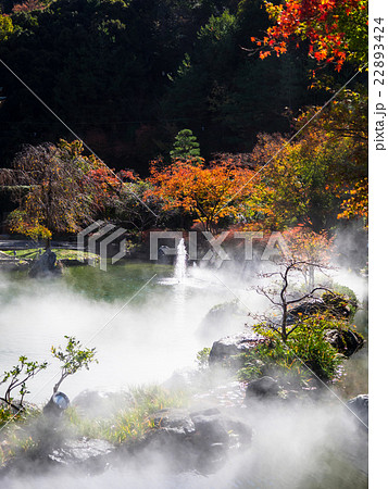 勝尾寺弁天池の水煙 22893424