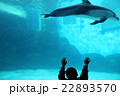 イルカと子供 22893570