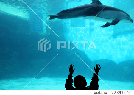 イルカと子供 22893570