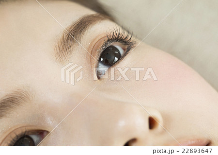 ビューティーイメージ 22893647