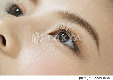 ビューティーイメージ ビューティーイメージ 22893656