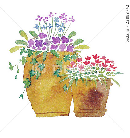 鉢植えの花のイラスト素材