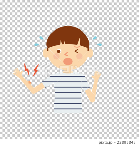 虫刺され　子供　イラスト 22893845