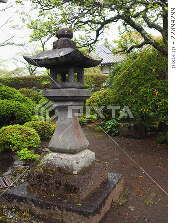 japan pagoda 22894299