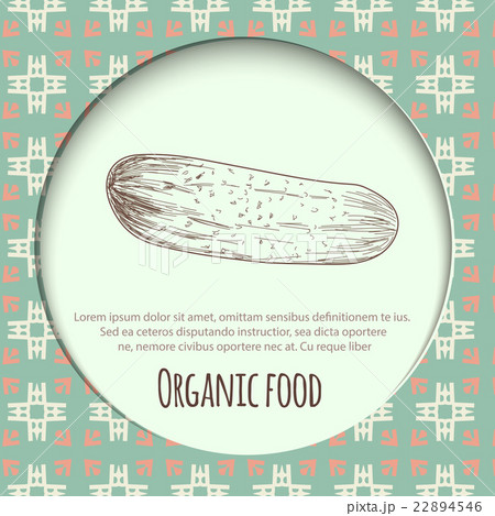 Hand drawn cucumber over white background Hand drawn cucumber over white background 22894546