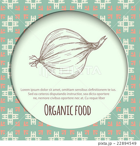 Hand drawn onion over white background 22894549