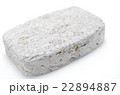 軽石　クローズアップ 22894887