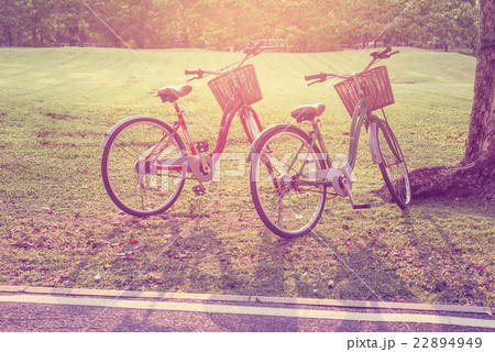 Vintage bicycle beautiful tone 22894949