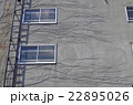 蔦が伸び行く家 22895026