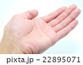 てのひら 22895071