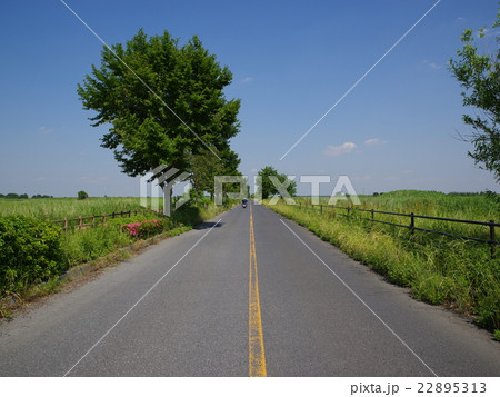 青空と緑の中をまっすぐ突き抜ける道 ヨコ 22895313