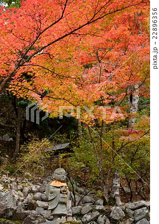 滋賀県永源寺の紅葉とお地蔵さま 22896356